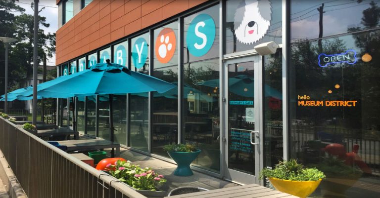 11403 b622e8eb23c8 768x401