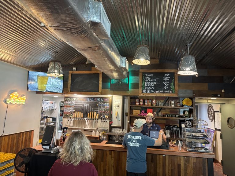 11703 04c0ed058db7 768x576