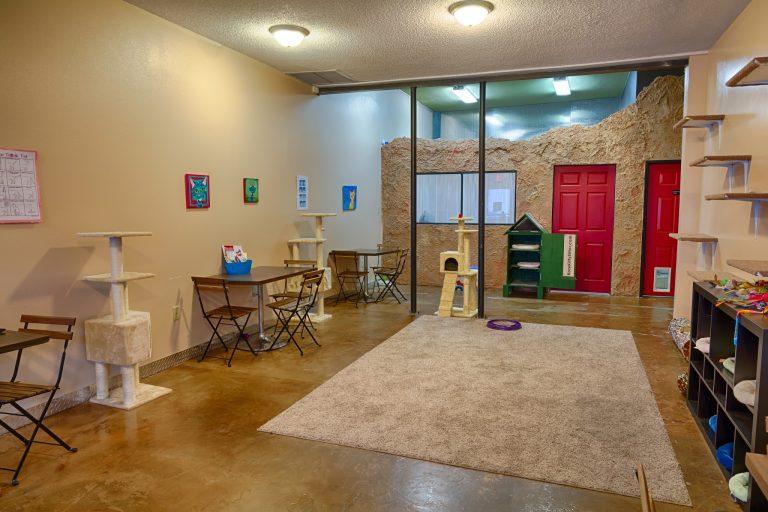 11867 63f5a074b6c6 768x512