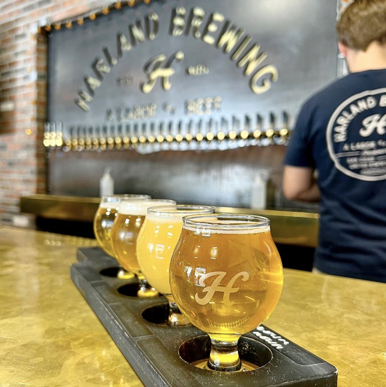 9737 0aeb487e01d8 768x769