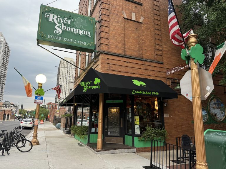 19845 river shannon 1 768x576