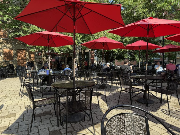 19982 the spoke and bird south loop 768x576