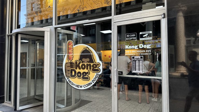 20234 kong dog 768x432