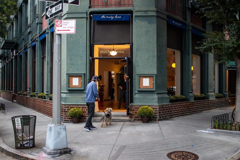 20282 the mary lane 1 768x512