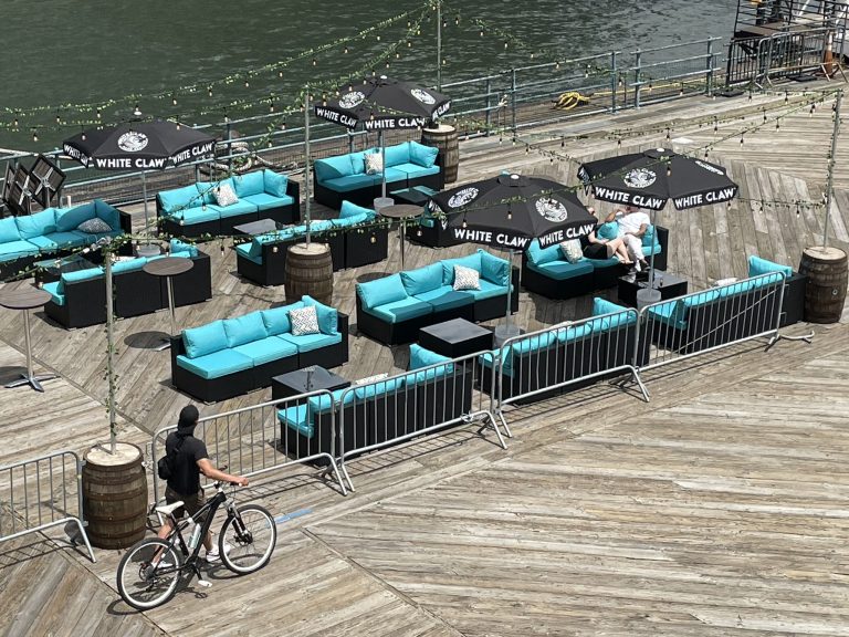 20290 cobble fish 768x576