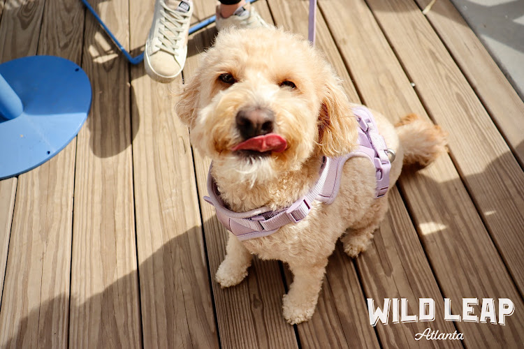 21165 wild leap atlanta brewery distillery