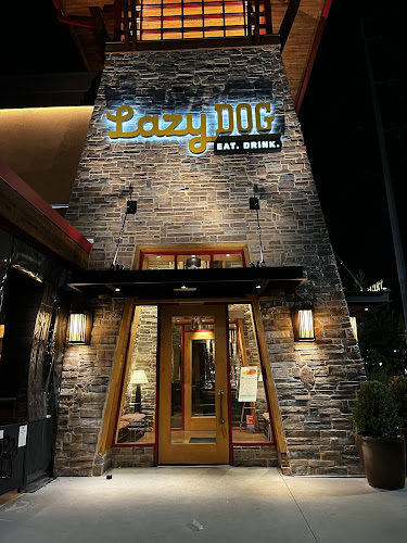 21264 lazy dog restaurant bar