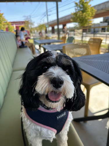 21284 melt 8211 kitchen o4w market