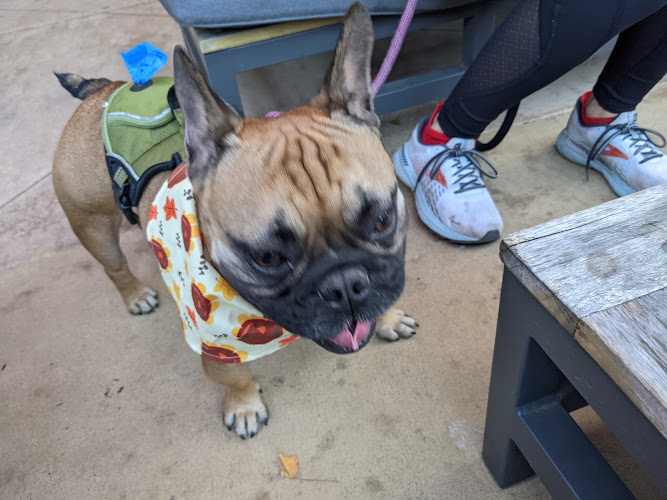 21347 pour taproom beltline