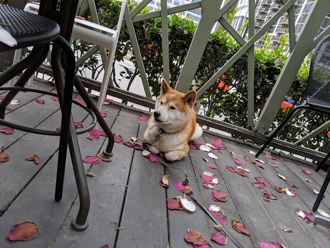 21410 pasta da pulcinella