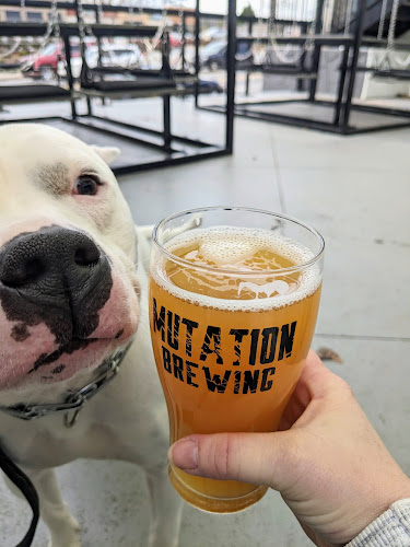 21440 mutation brewing company