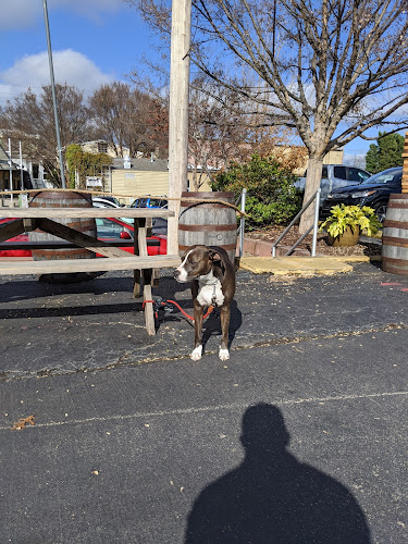 21449 three taverns craft brewery