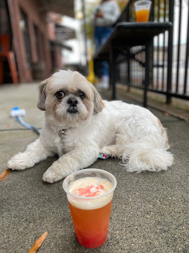 21452 atlantucky brewing