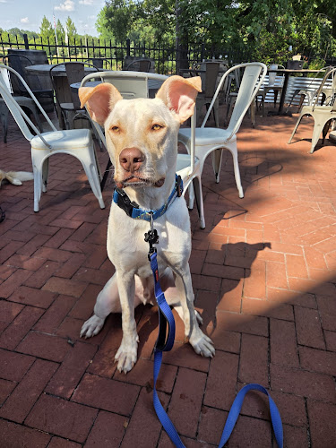 21488 voodoo brewing co 8211 roswell ga