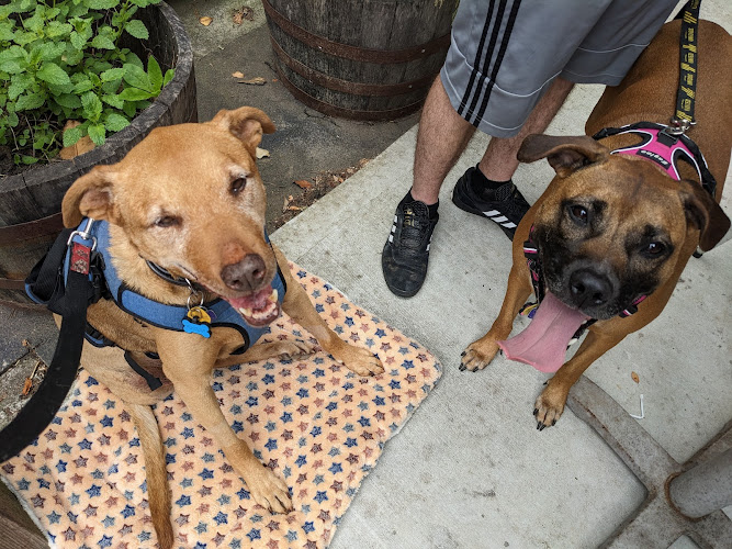 21494 sceptre brewing arts