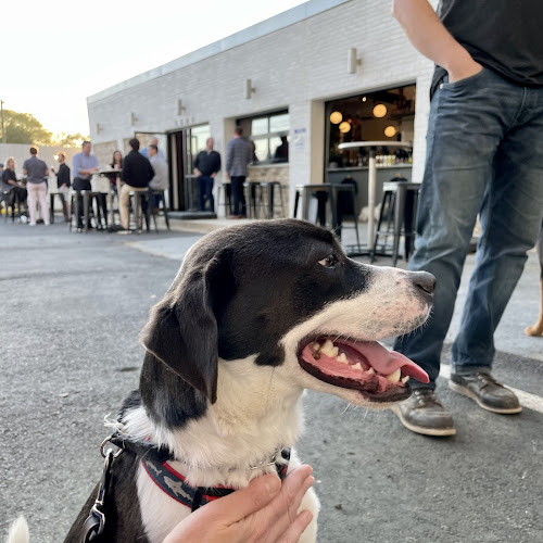 21503 contrast artisan ales 8211 chamblee