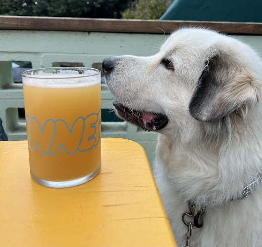 21509 inner voice brewing