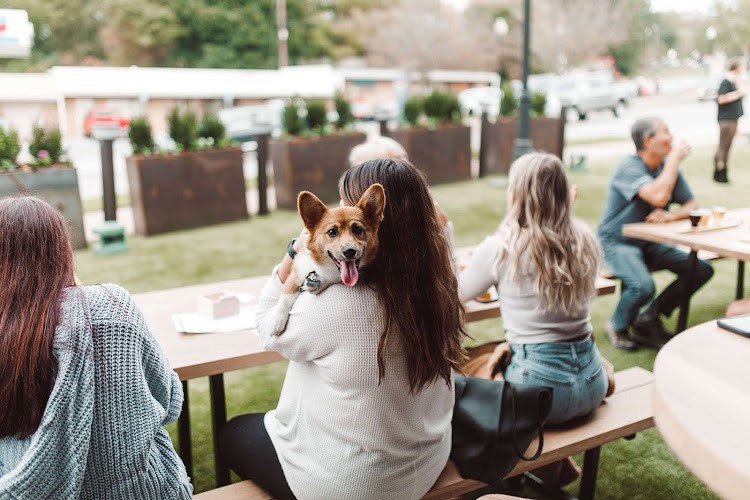 21521 horned owl brewing