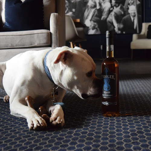 21551 asw distillery at american spirit works home of fiddler bourbon winterville gin more