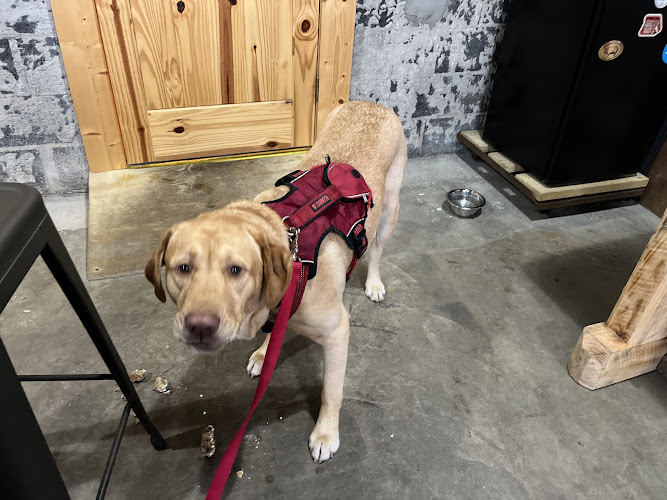 21563 angry hops brewing