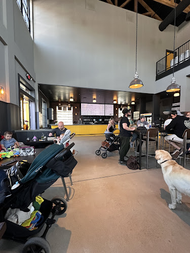 21566 crooked culture brewing