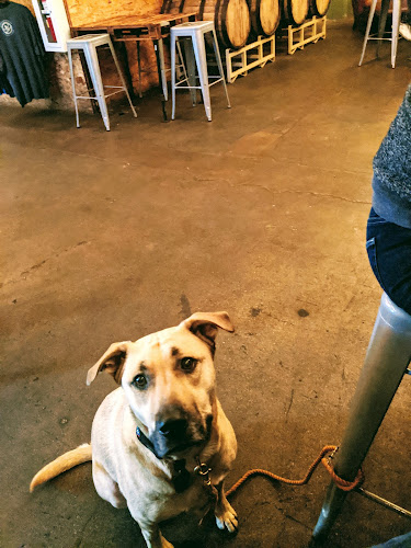 21636 frogtown brewery