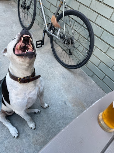 21650 audio graph beer co