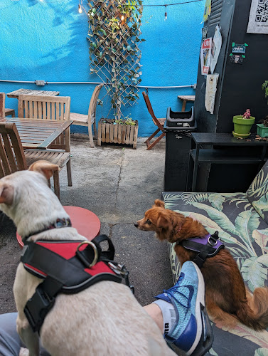 21666 muddy paw coffee silverlake