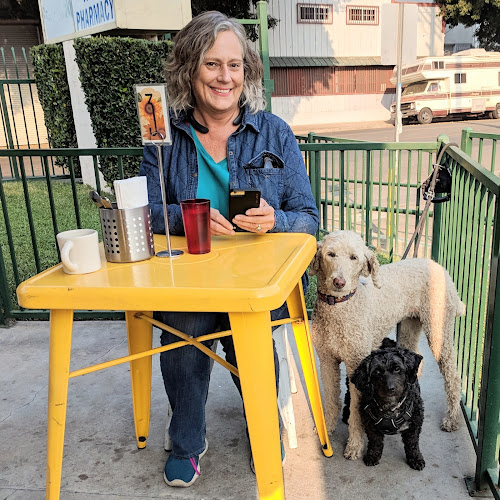 21698 lemon poppy kitchen