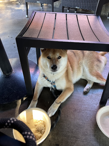 21746 lazy dog restaurant bar 1