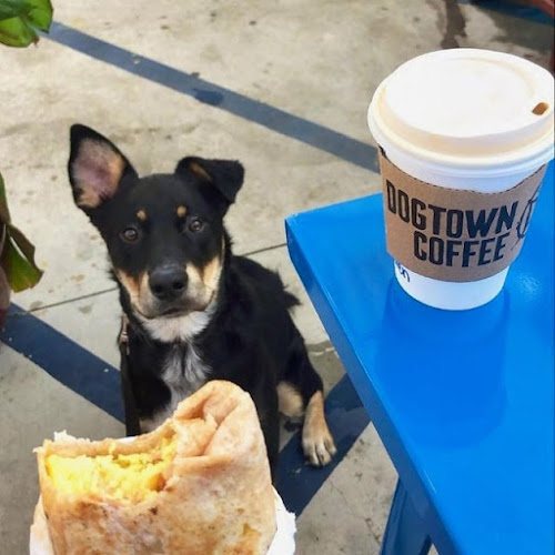 21758 dogtown coffee