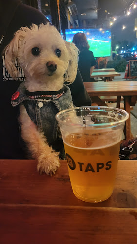 21782 33 taps silver lake