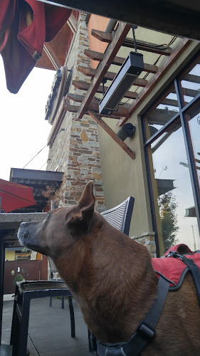 21786 lazy dog restaurant bar