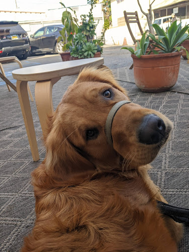 21864 lady byrd cafe