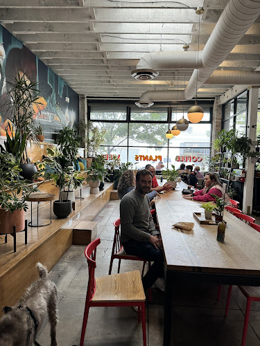 21880 base caffe gallery