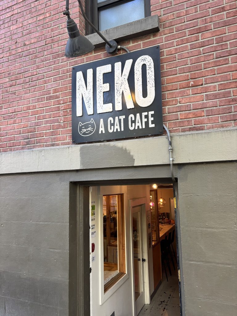 22302 a3c6529f359f 768x1024