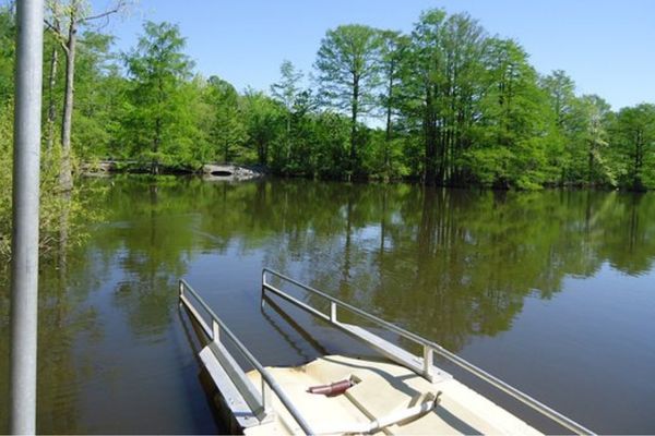 Stumpy Lake Natural Area Virginia Beach