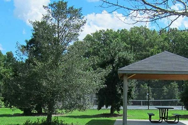 Woodstock Dog Park in Virginia Beach