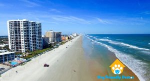 Is Daytona Beach, Florida dog friendly?