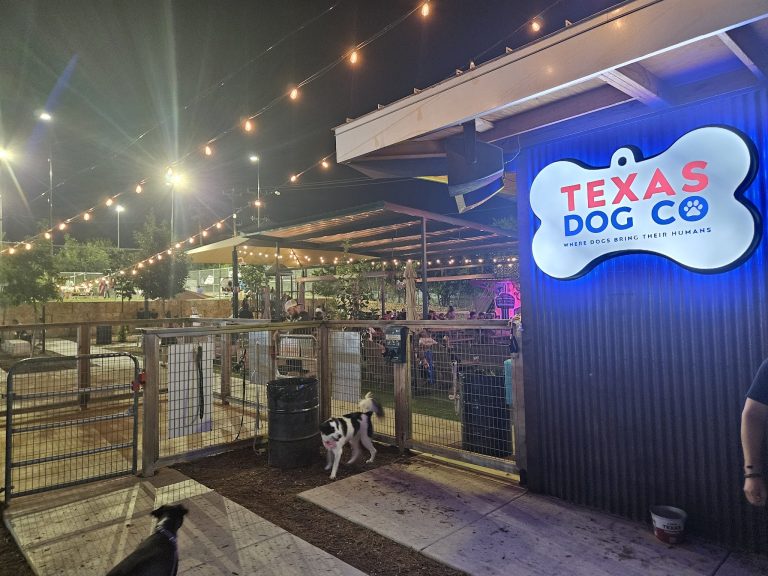 23620 the dog co. icehouse 768x576