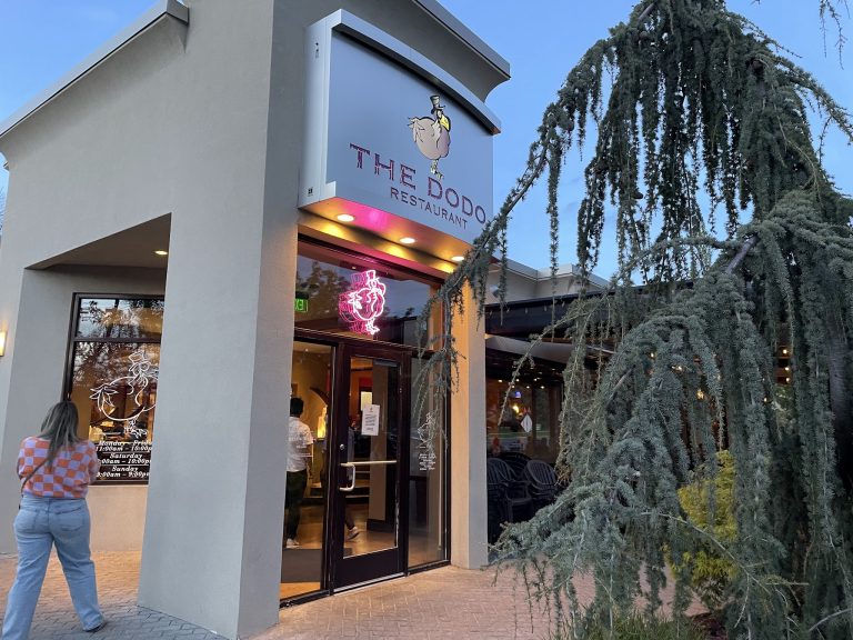 23722 the dodo restaurant 768x576