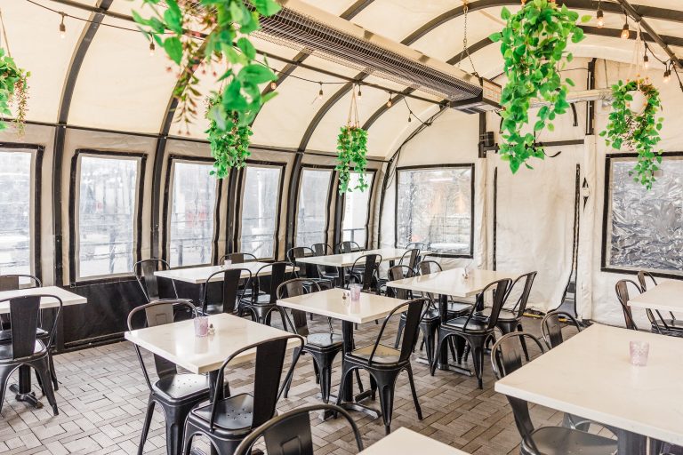 23797 violet 768x512