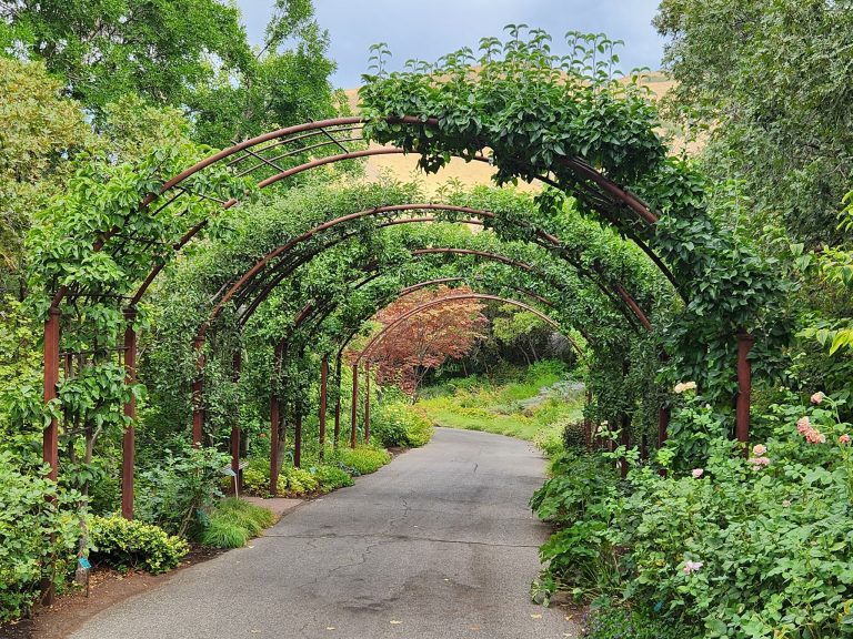 23820 red butte garden and arboretum 768x576