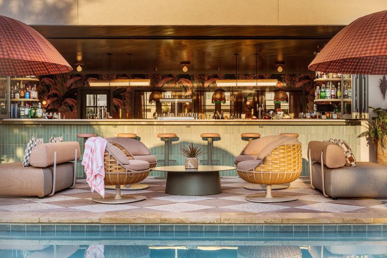 23903 little palm 768x512