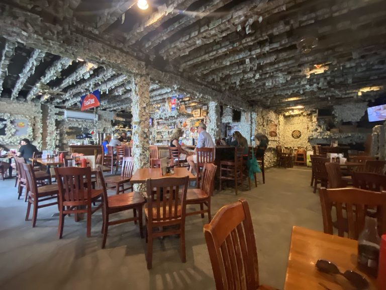 23907 the griffon 768x576