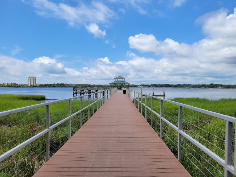 23967 brittlebank park 768x576