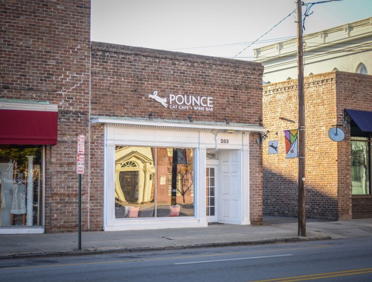 24070 pounce cat cafe wine bar 768x581