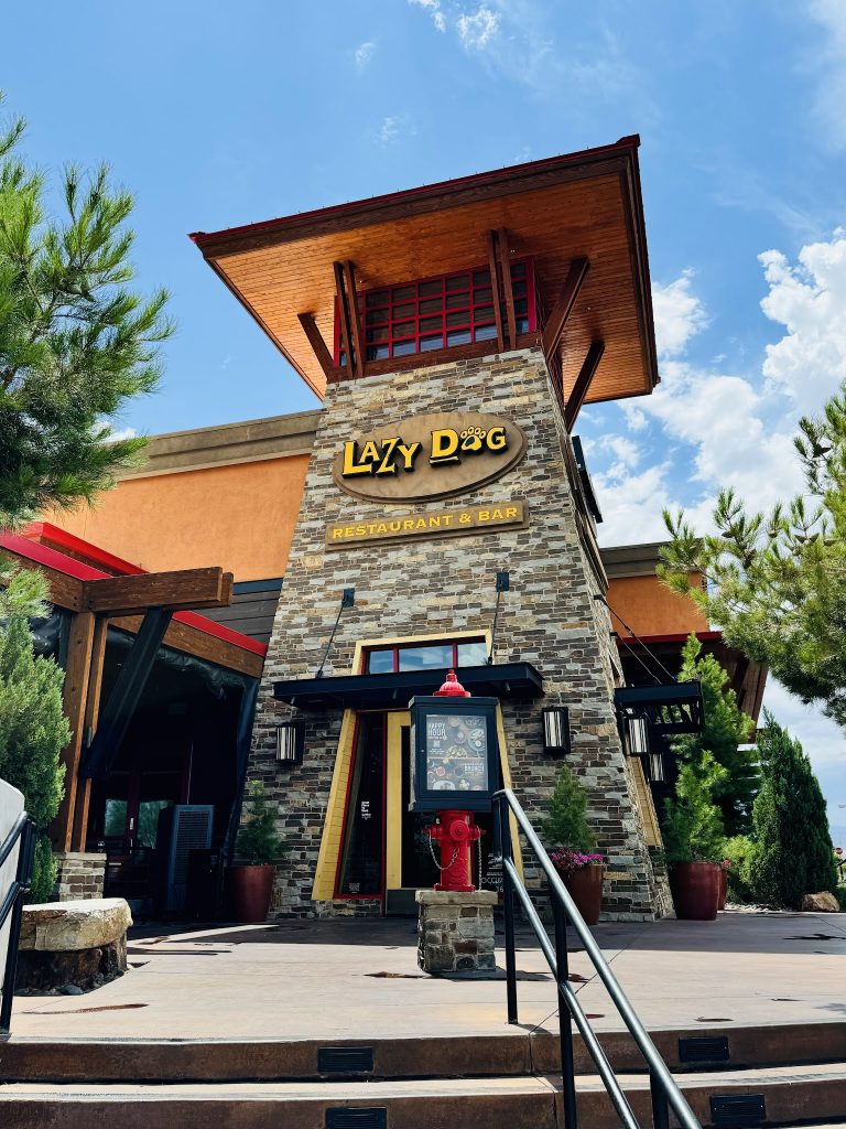 24074 lazy dog restaurant bar 768x1024