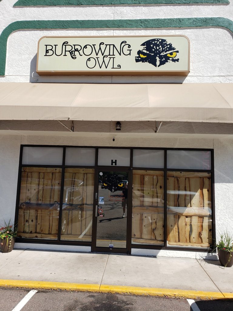 24123 burrowing owl 768x1024