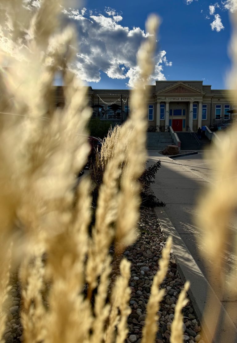 24157 ivywild school 768x1111